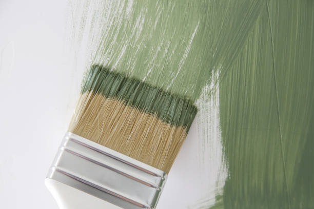 Environmental Consulting for Mold Prevention in Richmond, CA