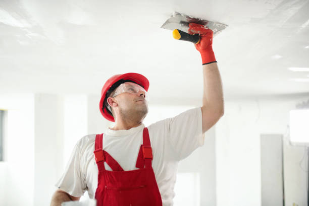Best Basement Mold Removal  in Richmond, CA